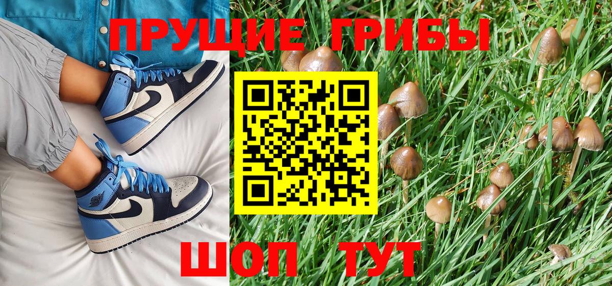 Псилоцибиновые грибы MAGIC MUSHROOMS  Вход с VPN  Набережные Челны 