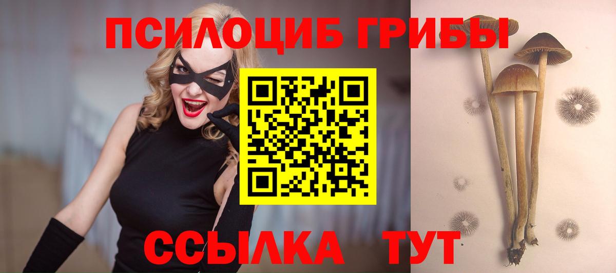 Галлюциногенные грибы мухоморы Набережные Челны